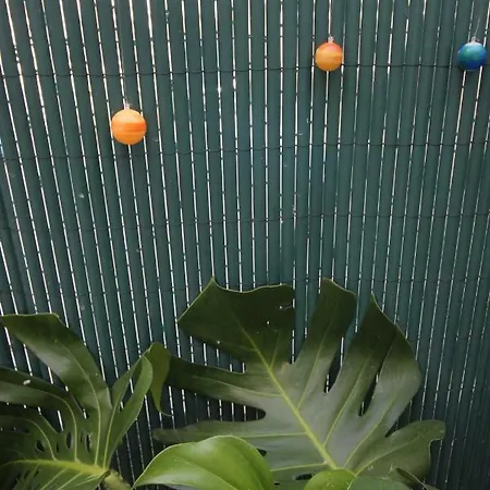 Com Patio * 阿威罗