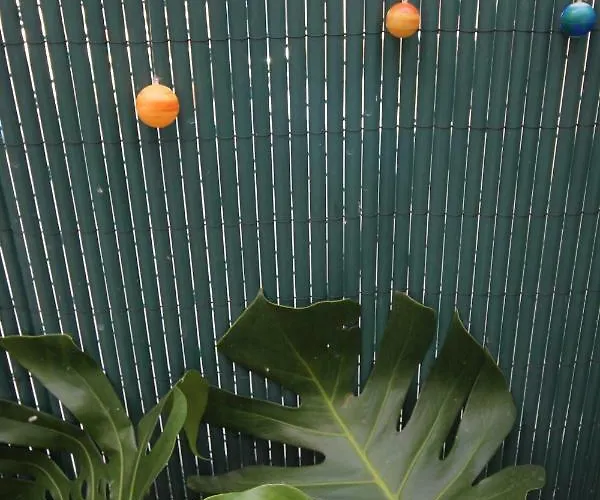 Com Patio * אבאירו